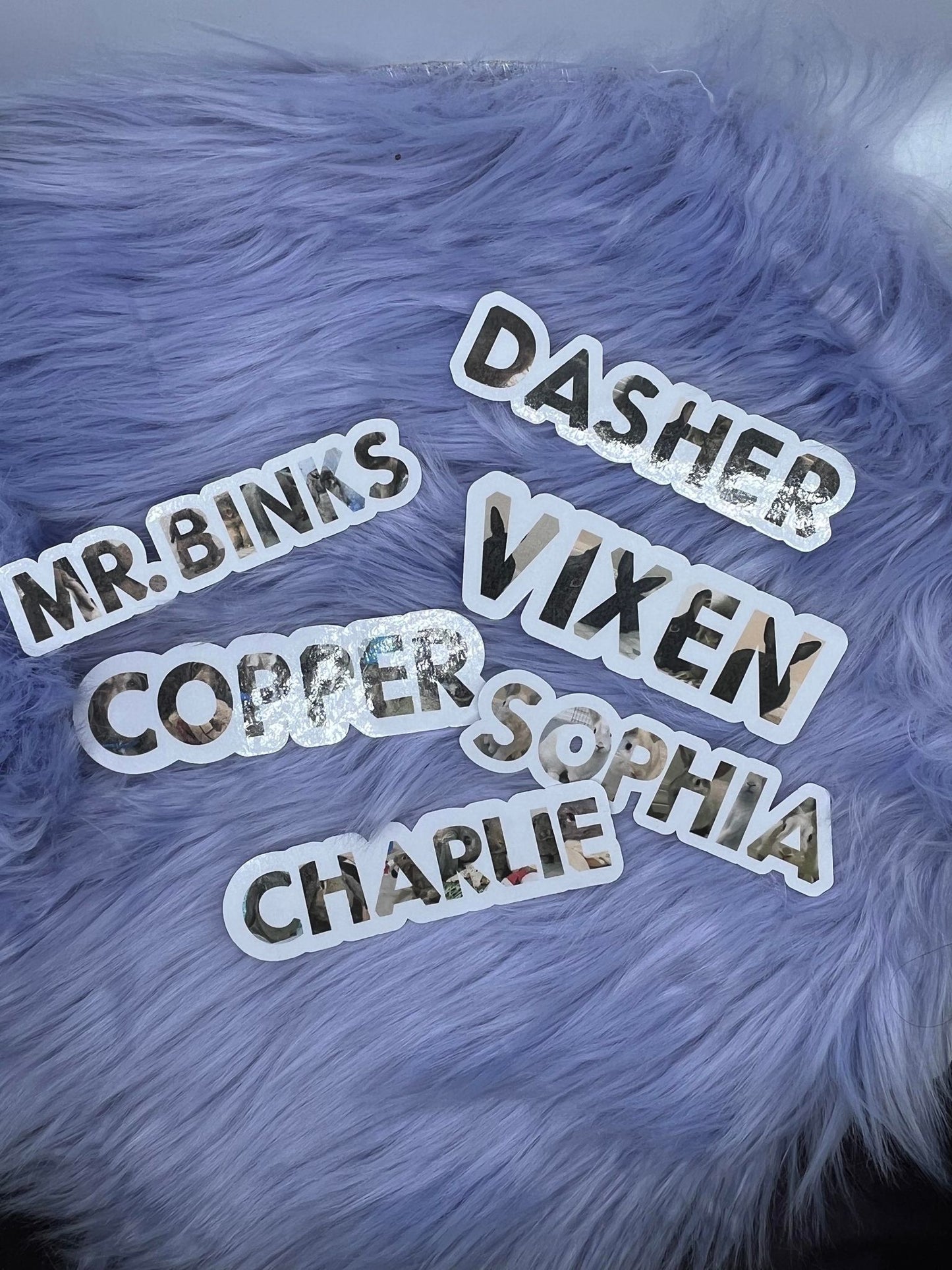 Pet Picture Stickers