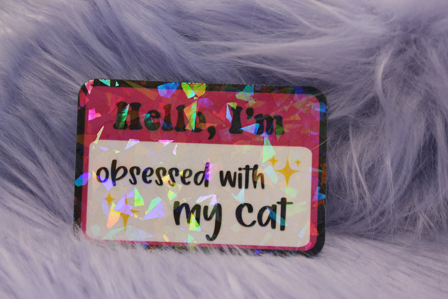 Hello, I'm Obsessed With My Cat