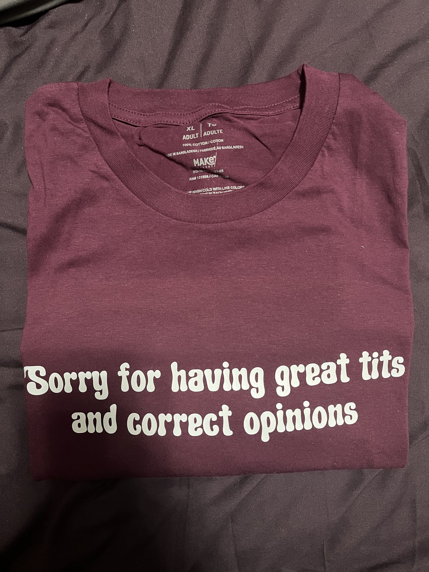 Sorry for Having Correct Opinions