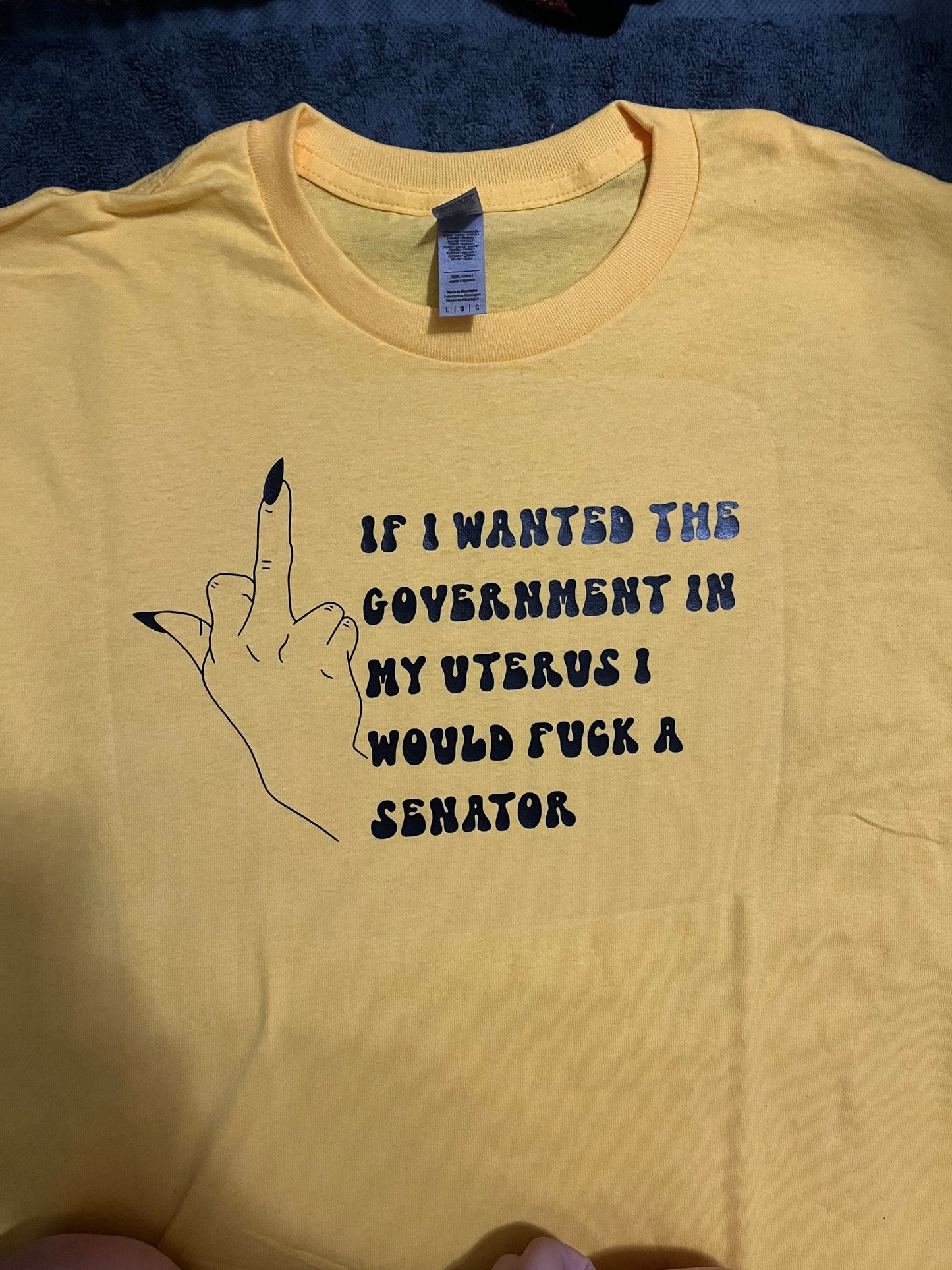 If I Wanted the Government
