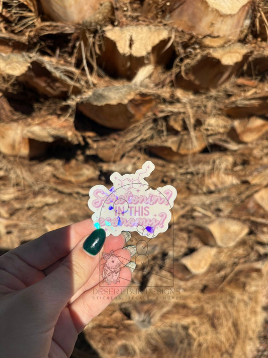 Serotonin? In This Economy?