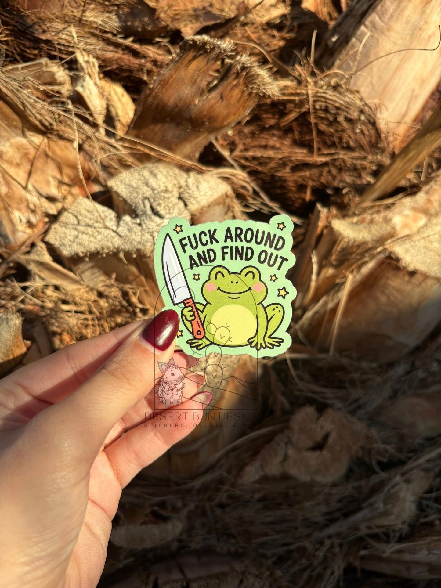 Fuck Around And Find Out Frog