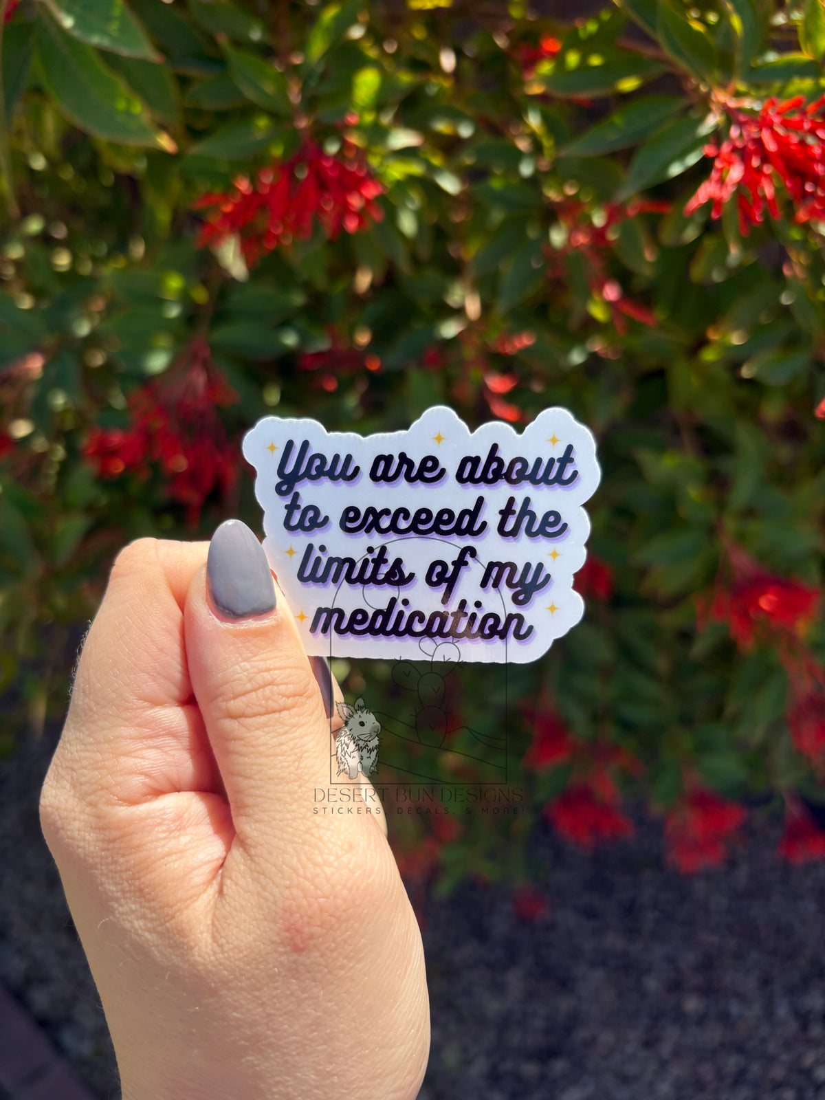 You Are About To Exceed The Limits Of My Medication