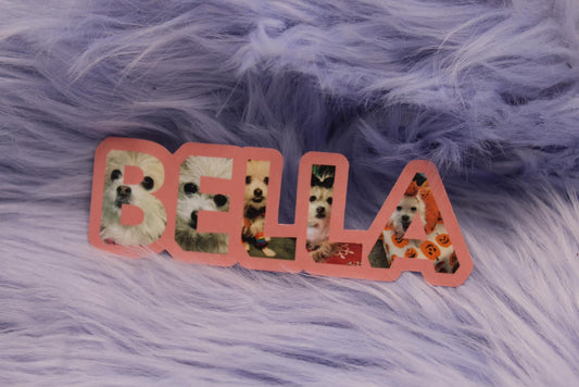 Pet Picture Stickers